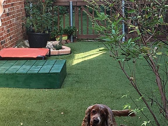 Private pet yard 