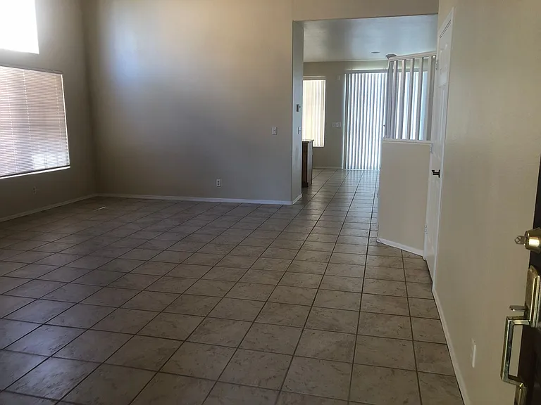 8101 Yellow Daisy Ave — Photo 4