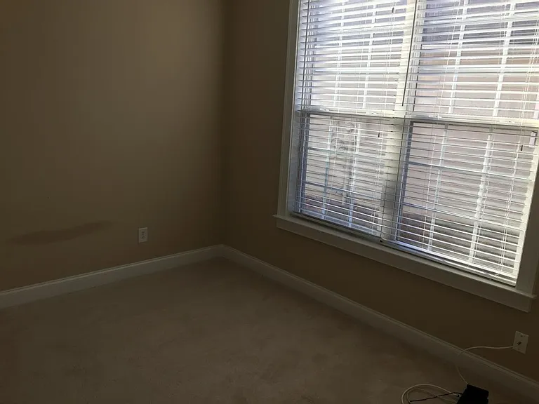 453 Misty Meadow Pl — Photo 3