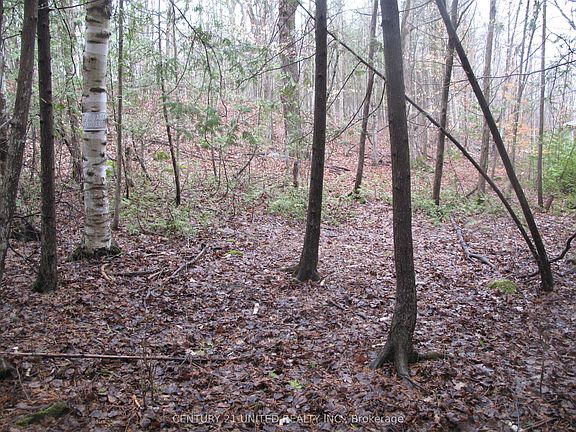 4th image of Ptlt 37 Trent View Dr