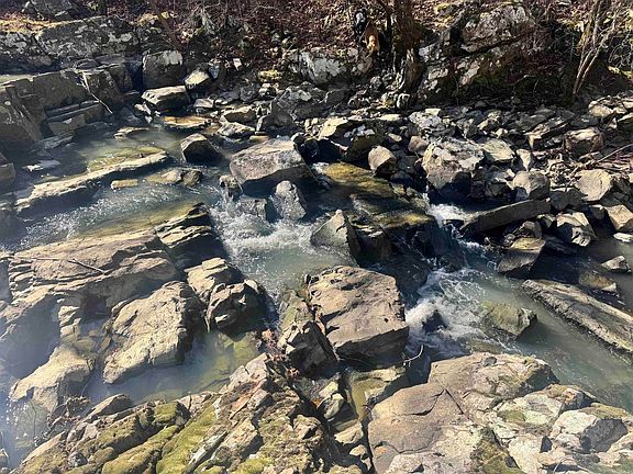 2nd image of Polk Rd #147