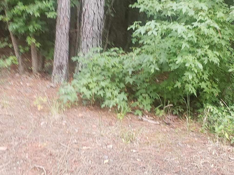 2nd image of 274 Blounts Chapel Rd