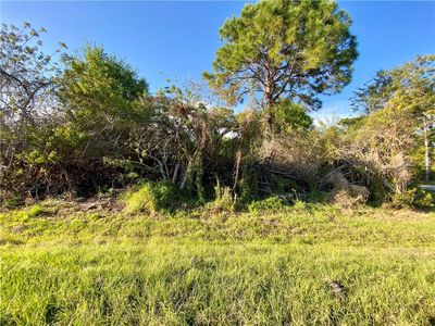 12180 Wellington Ave, Port Charlotte, FL, 33981