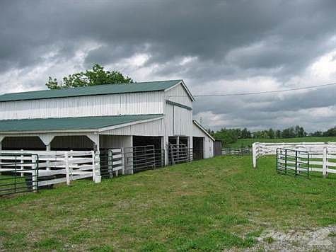 Fantastic Barn with paddocks, huge tack room, covered run ins on front and back.  48 acres.  Approximately 22 acres being used for grazing....approximately 26 acres used for hay.
