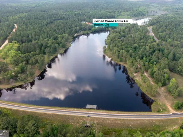 0 Wood Duck Ln, Butler, GA 31006
