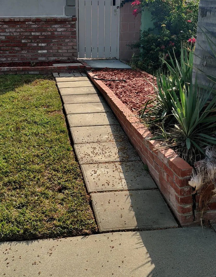 1 bed, 734 sqft, $2,200 — Photo 2
