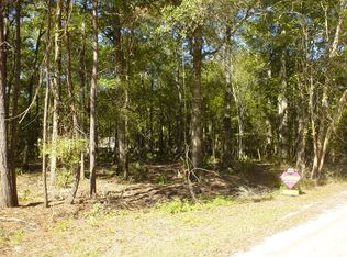 0 Riverview Rd, Brooklet, GA 30415