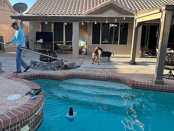 3rd image of 4026 E Lavender Ln
