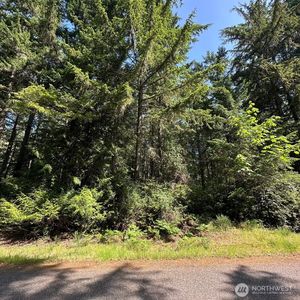 11311 115th Street, Anderson Island, WA, 98303