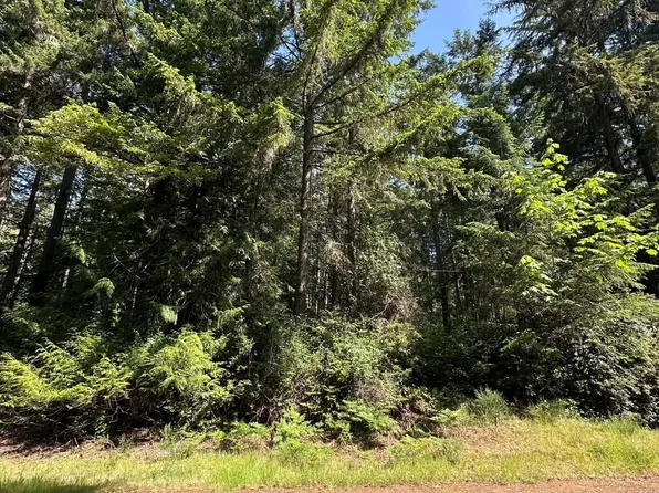 11311 115th Street, Anderson Island, WA 98303