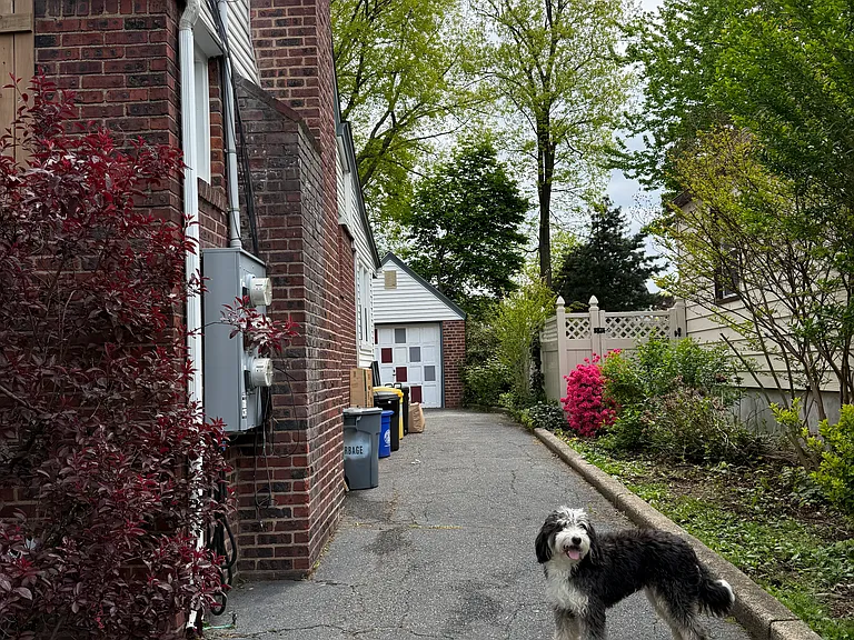 261 Elm Ave — Photo 10