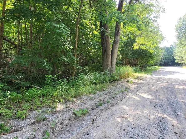 Zimmerman Rd NW, Rapid City, MI 49676