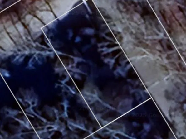 Hinkel Mae Drive, Coventry, CT 06238