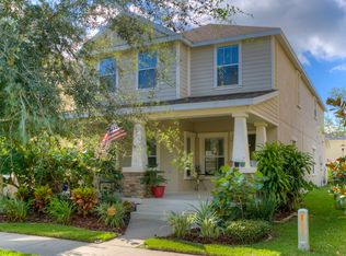 16111 Loneoak View Dr, Lithia, FL 33547