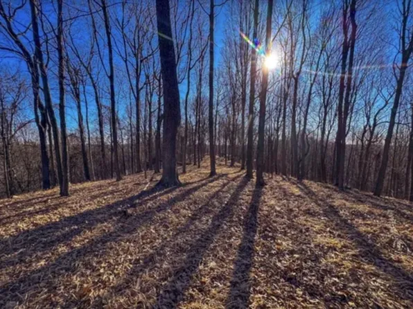 0 Horseneck Road, Other, WV 26170