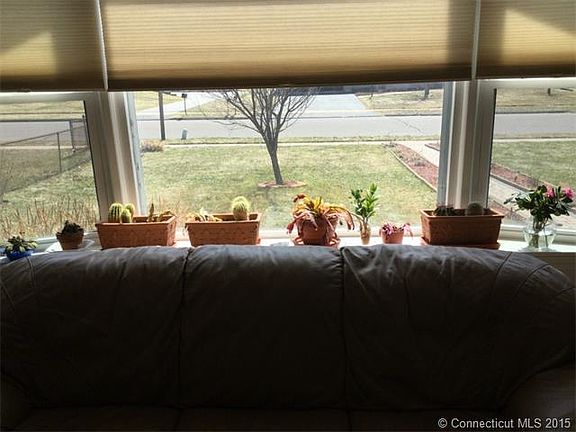 View from bay window in liv...