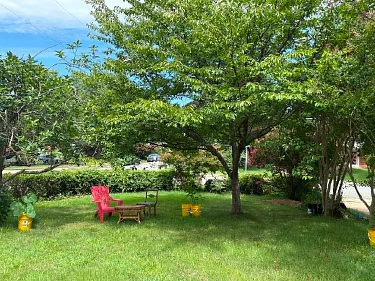 7307 Grace St — Photo 15