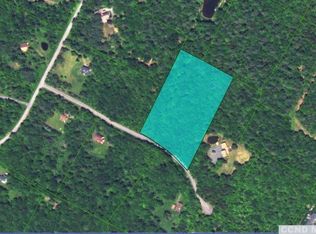 69 Wilderness Drive Ext, East Jewett, NY 12424