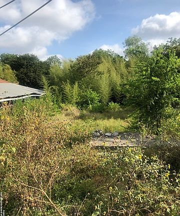 4th image of 3107 Saunders Ave