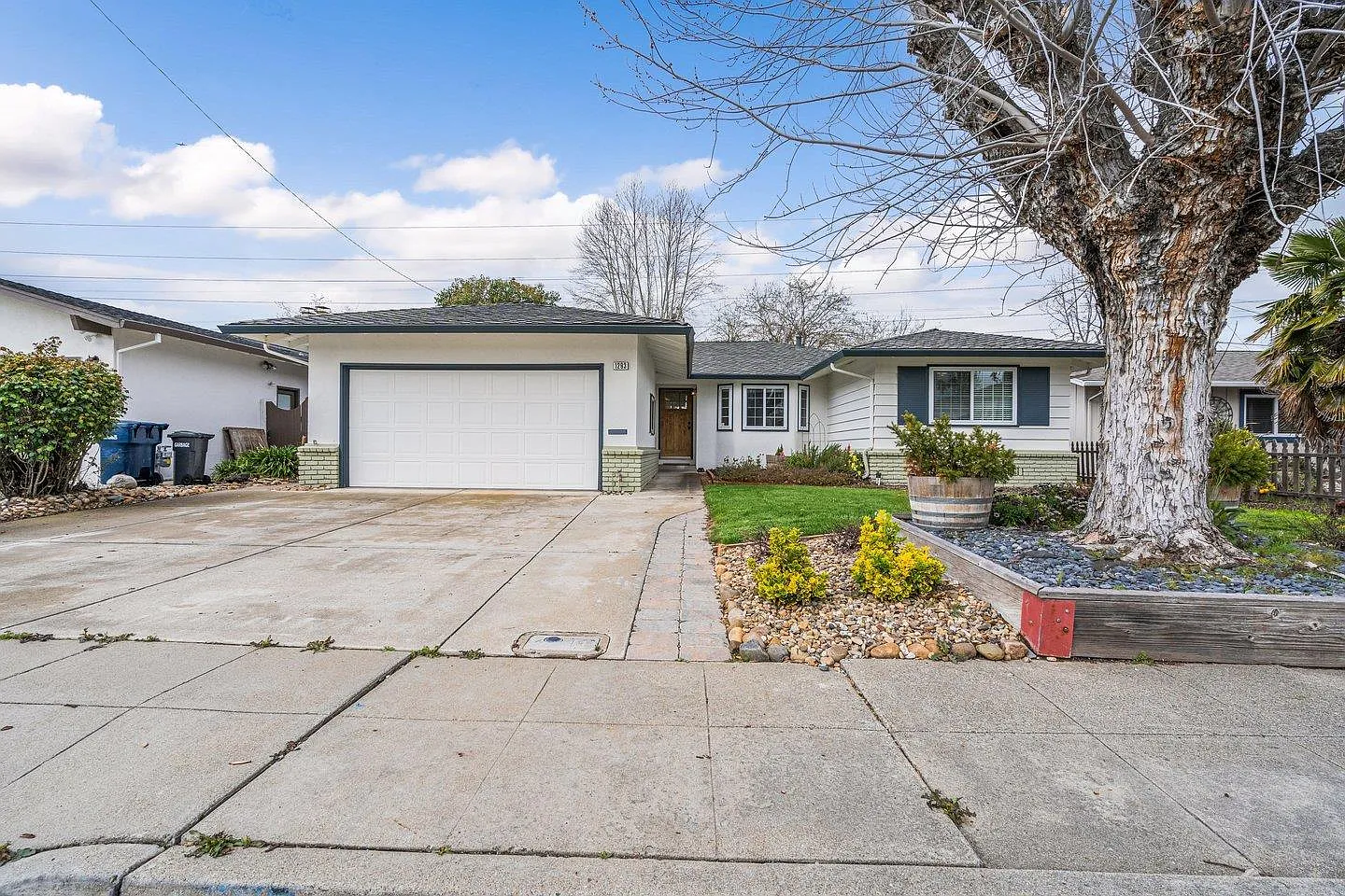 1293 Lillian St photo 1