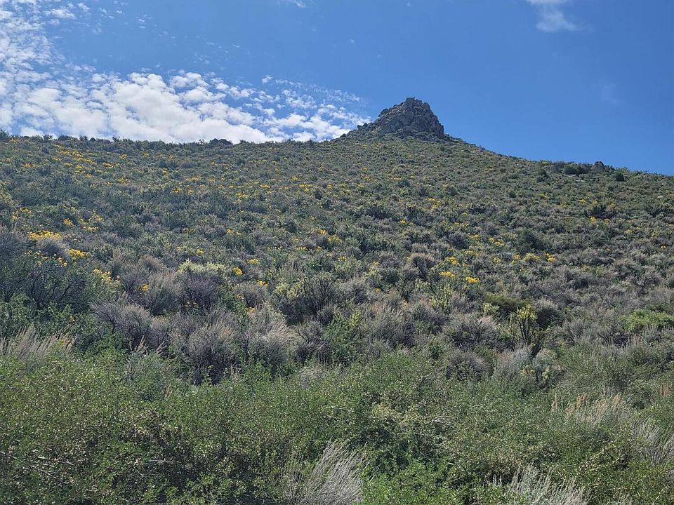 2nd image of 525 Prairie Dog Ct