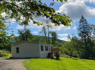 214 S Morgan Branch Rd, Candler, NC 28715