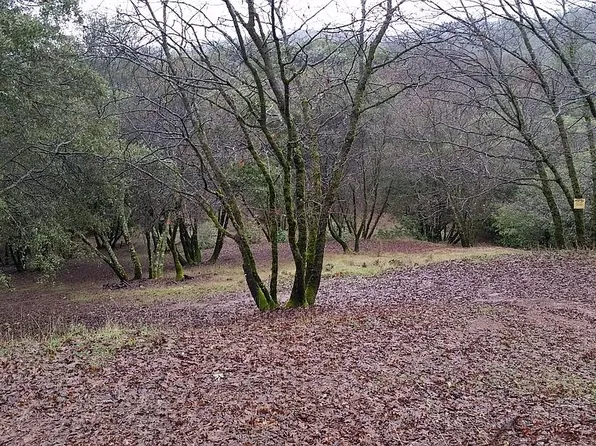 15065 Ponderosa Ln, Auburn, CA 95603