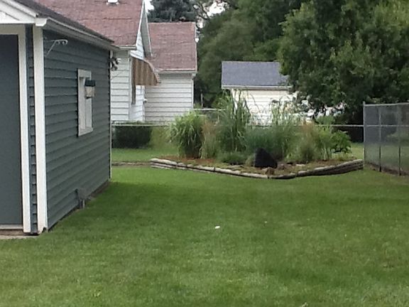 Backyard garden