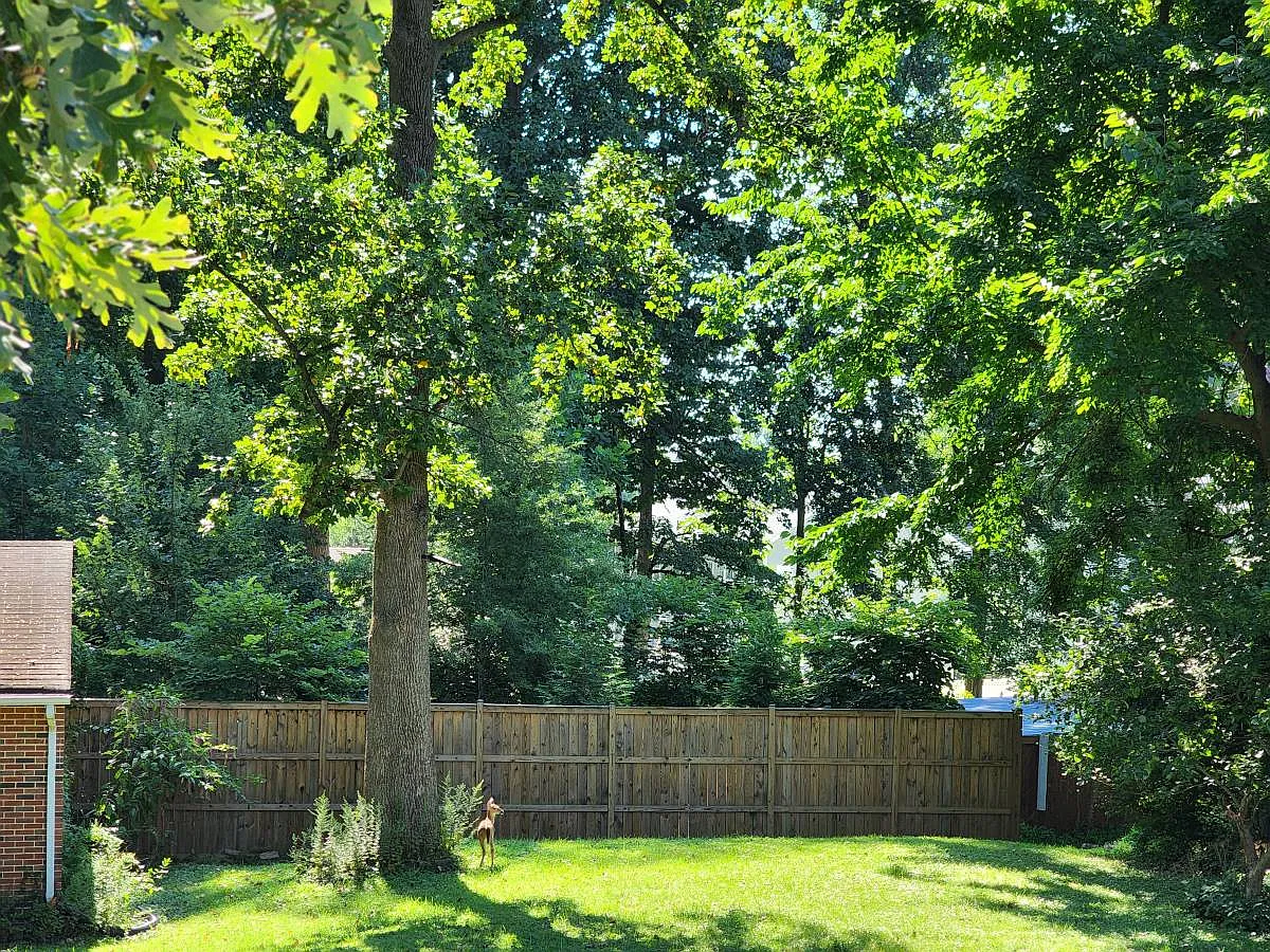 1 bed, 100 sqft, $800 — Photo 2