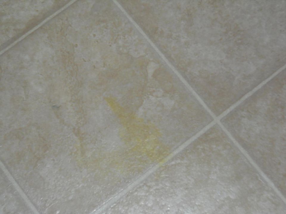 1st image of 2611 Paseo Arbolado