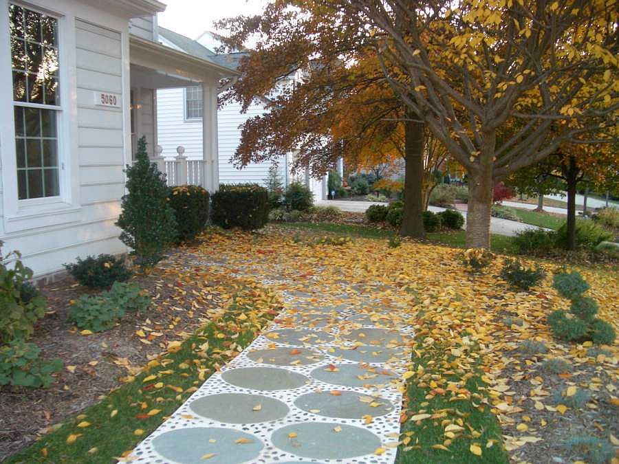 Entrance Pathway
