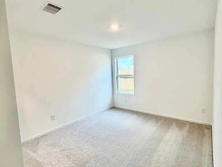 28807 Golden Wheat Ct — Photo 11