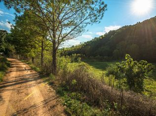 315 Jenkins Rd, Centerville, TN 37033