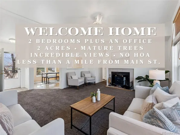 29955 County Road 371, Buena Vista, CO 81211