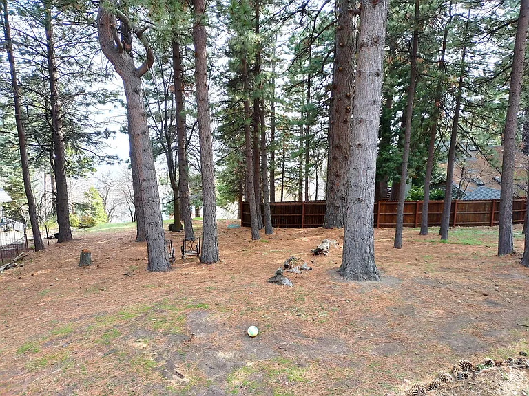 31083 All View Dr — Photo 28