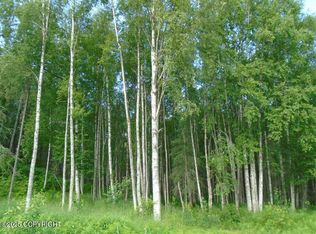 Township Road E Mile #93, Talkeetna, AK 99676