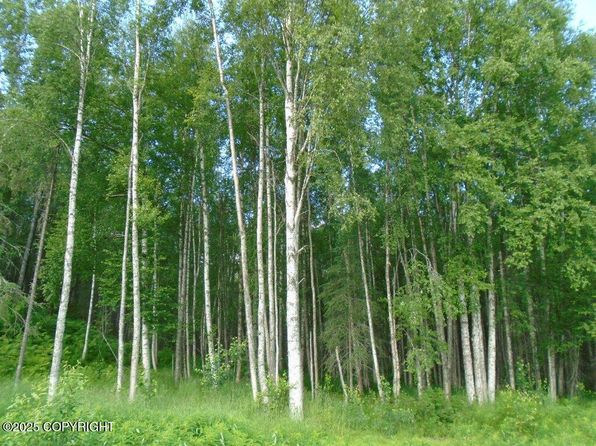 Township Road E Mile #93, Talkeetna, AK 99676