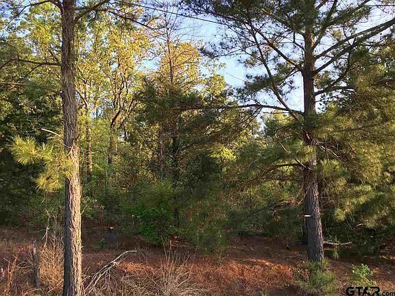 3rd image of 5063 Antlers Dr #10