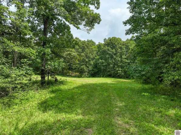 1134 Pisgah Rd, Smithland, KY 42081