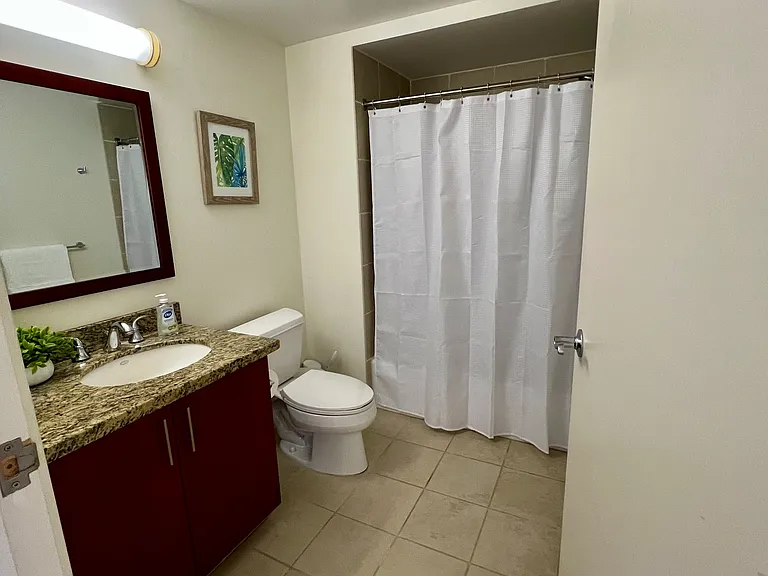 Secondary bathroom