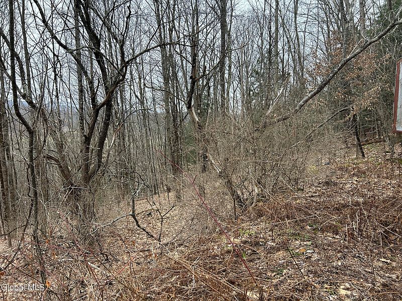 3rd image of 135 Clark Way