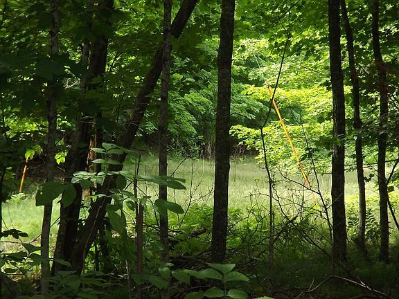 5th image of Xxxxx Eaglewood Court Bay Lake Twp