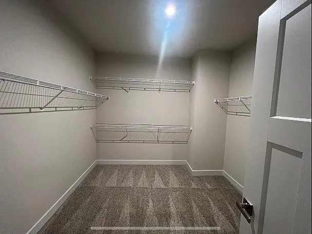 8053 Warbler Way — Photo 10
