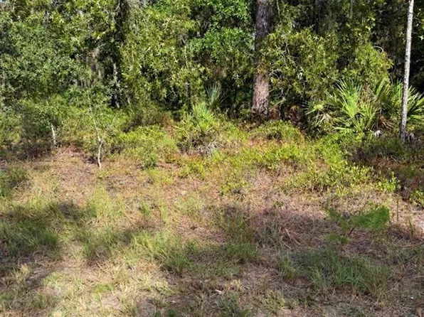 16154 MALDEN ROAD LOT 8, WEEKI WACHEE, FL 34614