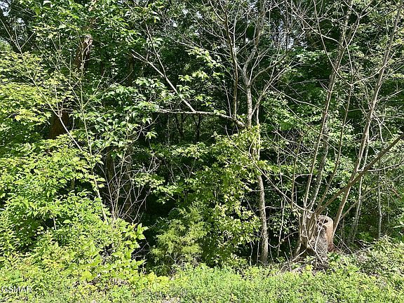 5th image of 0 Dogwood Dr Lot 5