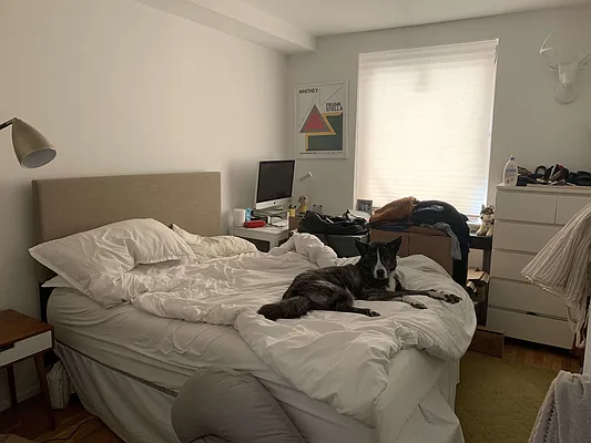Rented by Tompkins Square Realty | media 26