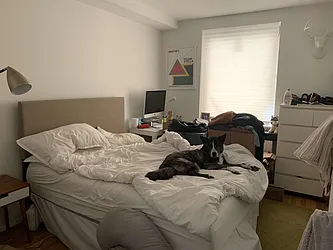 Rented by Tompkins Square Realty