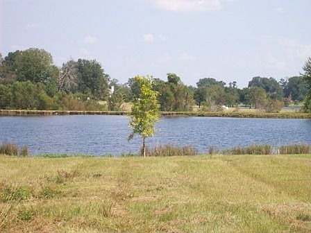 Back of lot and lake