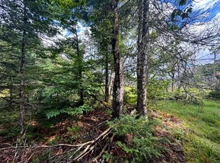 1.1 Farr Rd #1, Forestport, NY 13338