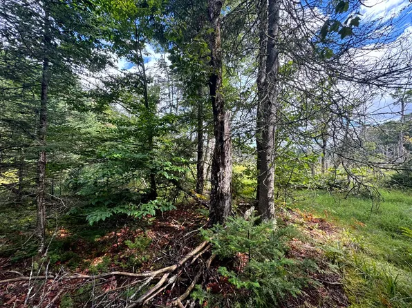 1.1 Farr Rd #1, Forestport, NY 13338